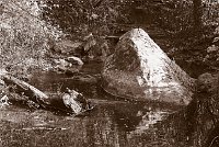 Capturefile: D:\Foto\Canon\Nytt RAW\CRW_2368.CRW<br>CaptureSN: 870300696-1232368.144656<br>Software: C1 REBEL for Windows<br>